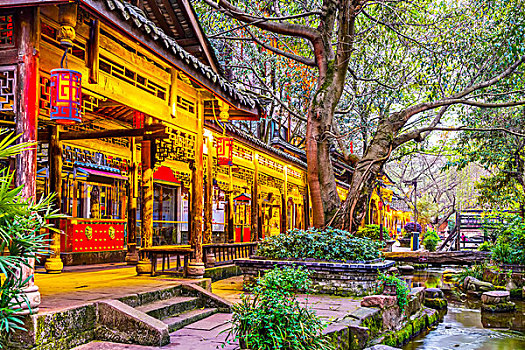soi lô miễn phí