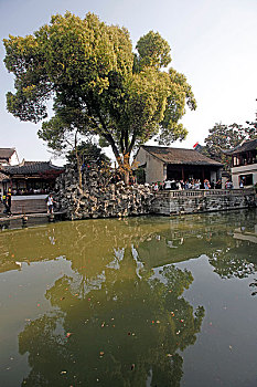 lo bach thu khung 3