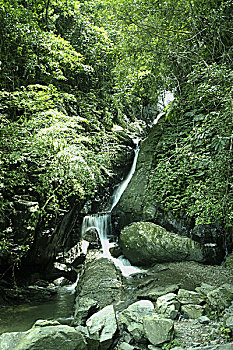xs thu hai
