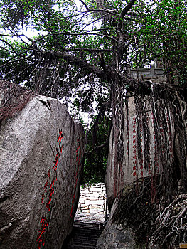 bạch thủ đề ngày hôm nay